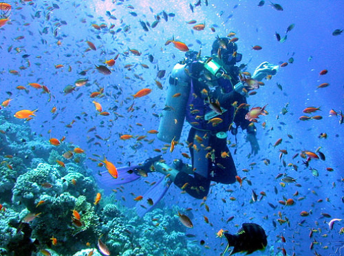 Scuba Diving Holidays Unique And Interesting