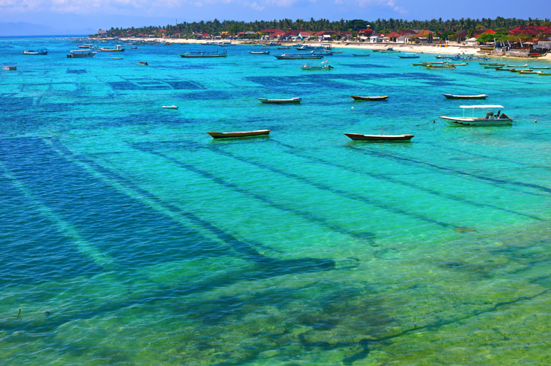 A Rich and Varied Sri Lanka Island