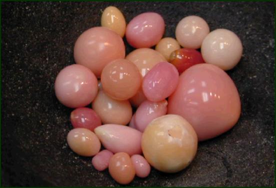 Things You Didn’t Know About Pearls