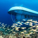 Explore The Underwater World Of The Cayman Islands With A Submarine Tour