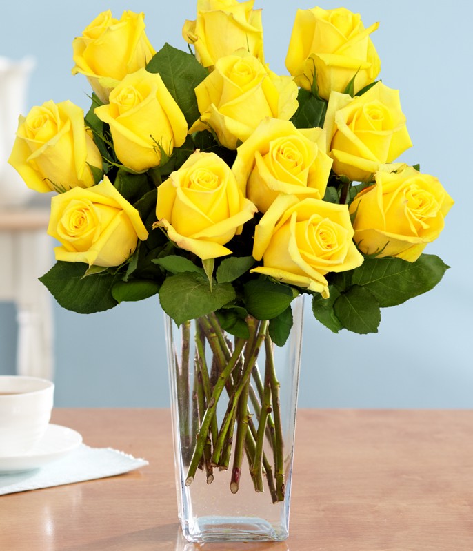 vivacious-yellow-rose