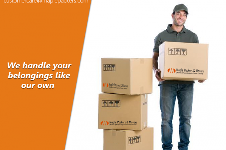 The Genuine Need Of Packers and Movers In Delhi