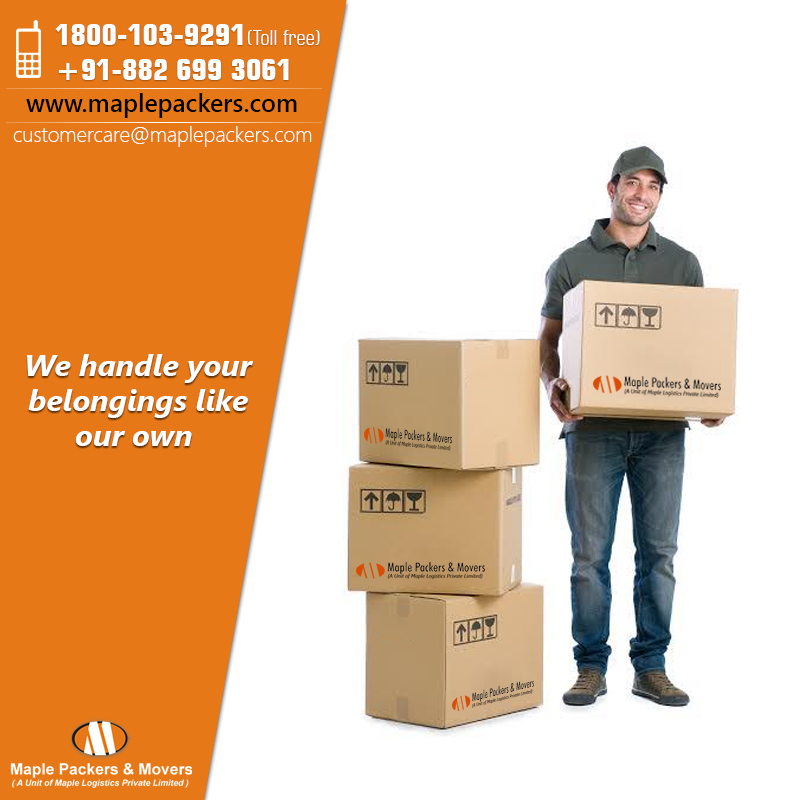 The Genuine Need Of Packers and Movers In Delhi