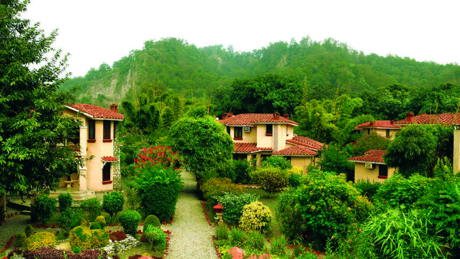 Staying In Resort In Jim Corbett Makes A Tour Memorable