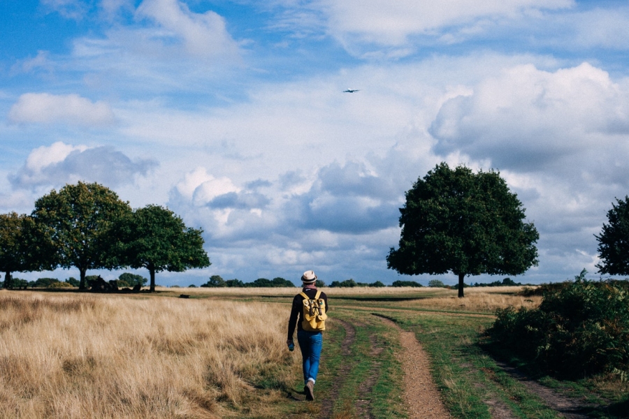 5 Popular Camino de Santiago Routes