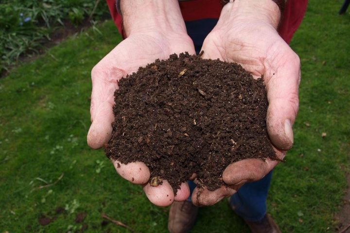 How To Start A Compost Heap With Leftover Food from Family Meals