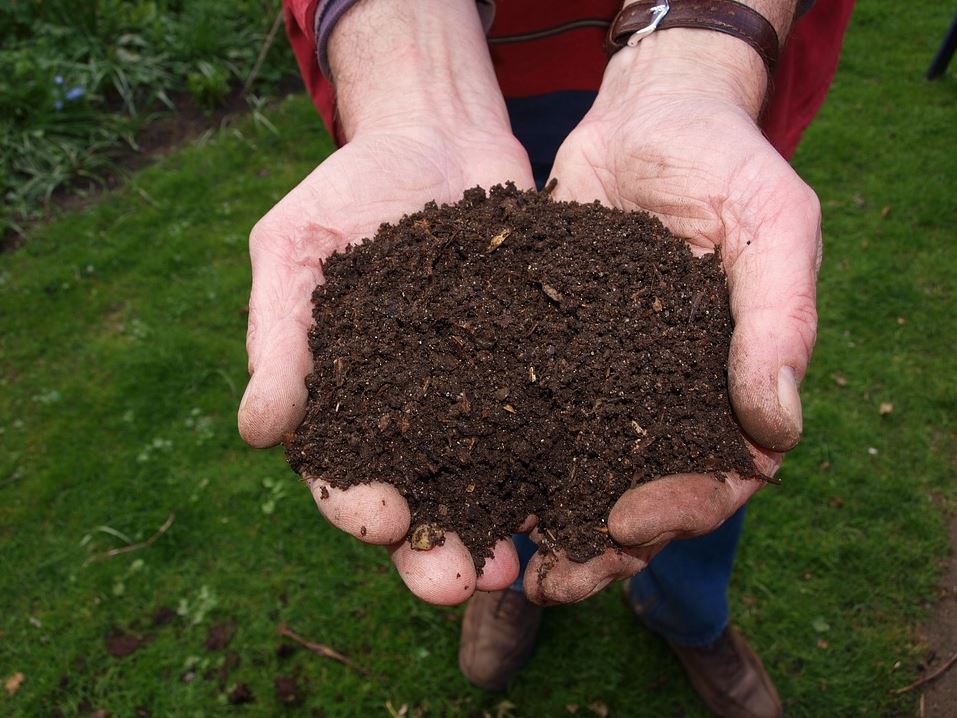 How To Start A Compost Heap With Leftover Food from Family Meals
