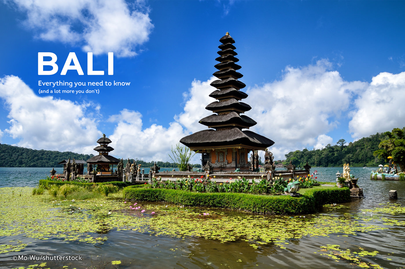 Interesting Activities To Do In Bali That Make Bali A Must-Visit Destination