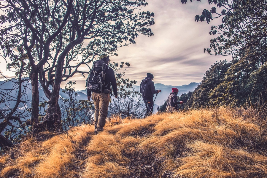 Hiking Essentials: 7 Things To Bring With You On Your First Hike