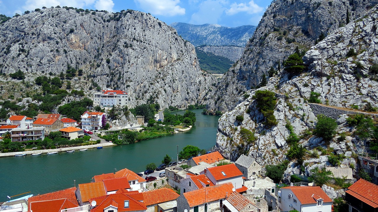 Omis